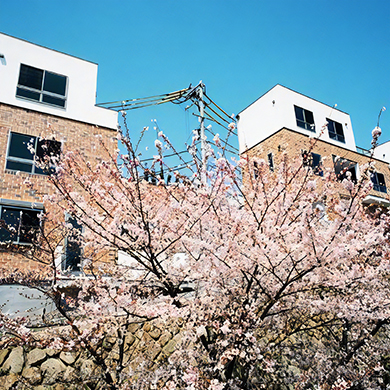 ファスタージュ篠原北町　写真